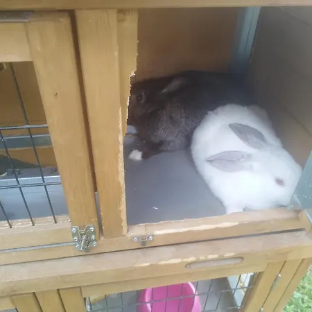 Algarabiastaying 3 Granja San Julian Medina de Pomar