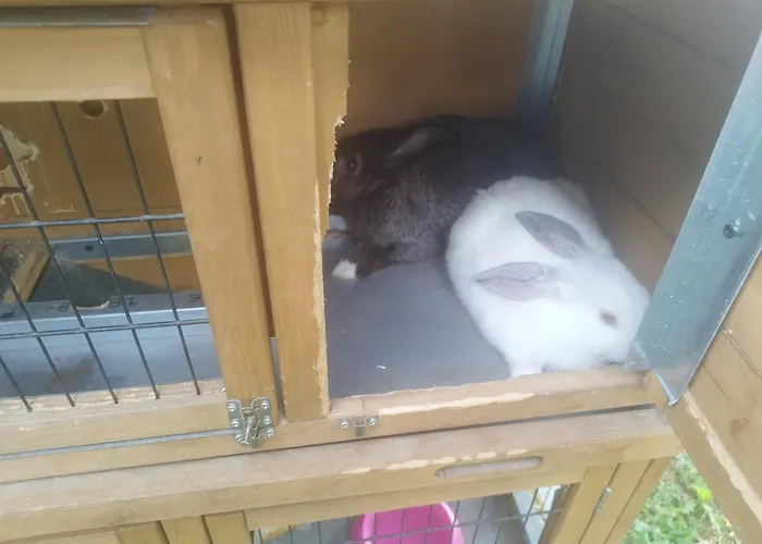 Algarabiastaying 3 Granja San Julian Medina de Pomar